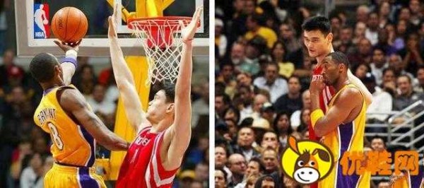 科比杨超越什么关系 科比杨超越互关的原因