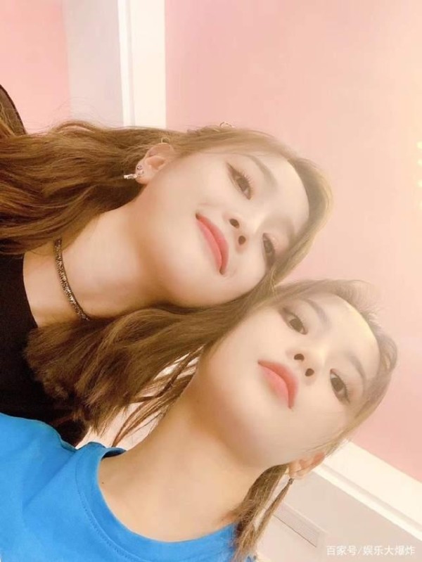 姐妹情深！杨超越在线寻猫，吴宣仪暖心帮忙