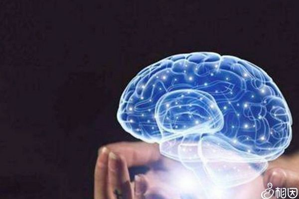 超雄综合征智商范围