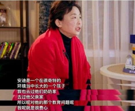 黄圣依妈妈不满亲家对安迪的富豪教育:希望安迪过正常生活
