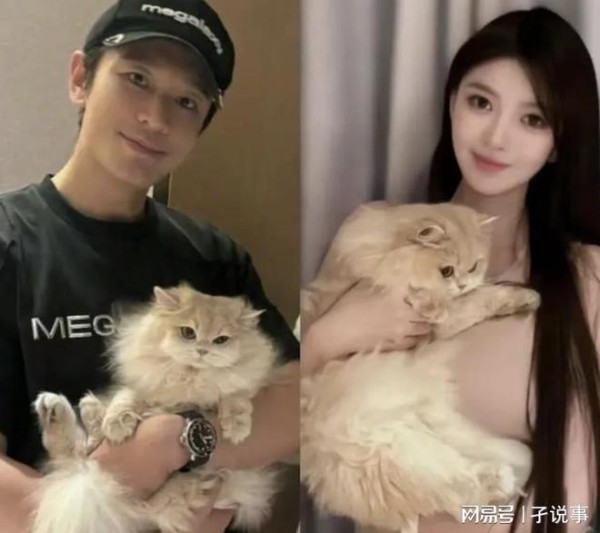 刘大锤要曝黄晓明叶珂猛料，娱乐圈或将迎来大洗牌