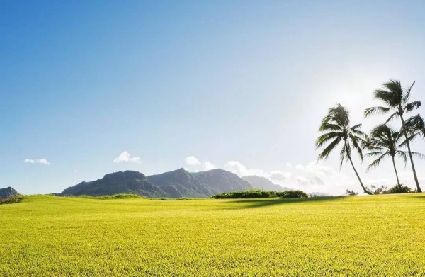 怎么处理痛苦的情感拉扯呢？