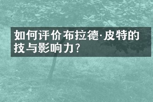 如何评价布拉德·皮特的演技与影响力？