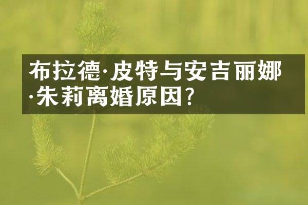 布拉德·皮特与安吉丽娜·朱莉离婚原因？