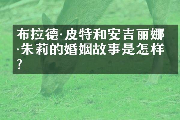 布拉德·皮特和安吉丽娜·朱莉的婚姻故事是怎样的？