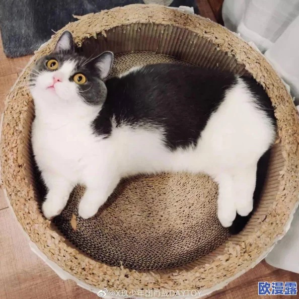 柚子猫小僵尸黑料爆料:传闻其与多位明星私下交往,背后隐藏不为人知的秘密和争议!