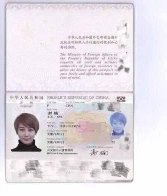 网传吴京已入外籍，打爱国牌宣传战狼2, 母亲晒照证明中国心