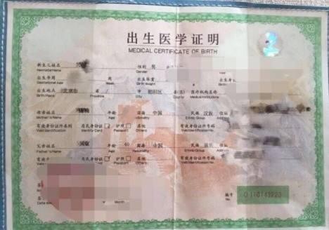 网传吴京已入外籍，打爱国牌宣传战狼2, 母亲晒照证明中国心