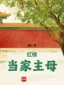 红楼当家主母
