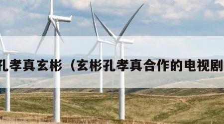 孔孝真玄彬（玄彬孔孝真合作的电视剧）