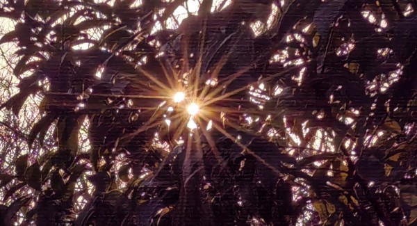 爱与遗憾交织的往昔：胡彦斌与郑爽的情感纠葛