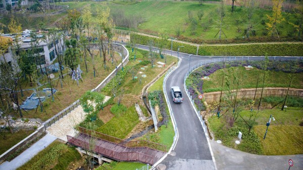 我国再添一座大熊猫基地，明年择机向公众开放