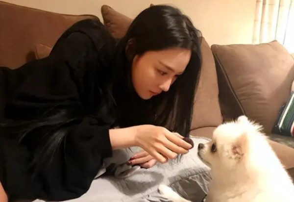 明星们为何只关心流浪狗，却忽视被咬伤的小女孩？引发舆论争议