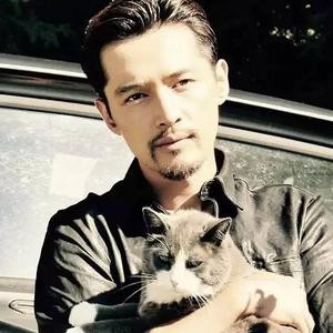原来除了胡歌，赵丽颖范冰冰他们也是猫奴狗奴