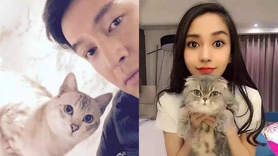 原来这些明星都爱养宠物！