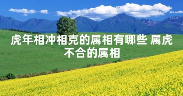 虎年相冲相克的属相有哪些 属虎不合的属相