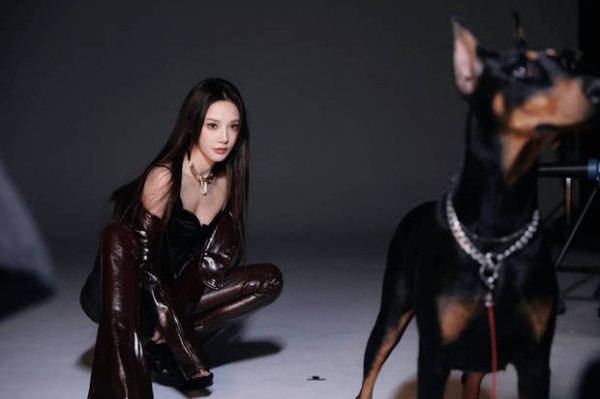 彭小苒与杜宾犬同框张力拉满。
