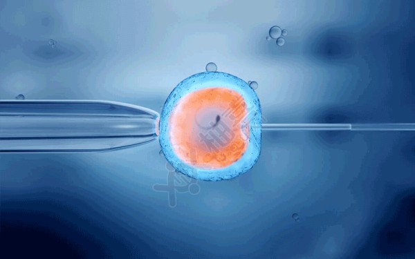 大龄单身女冻卵