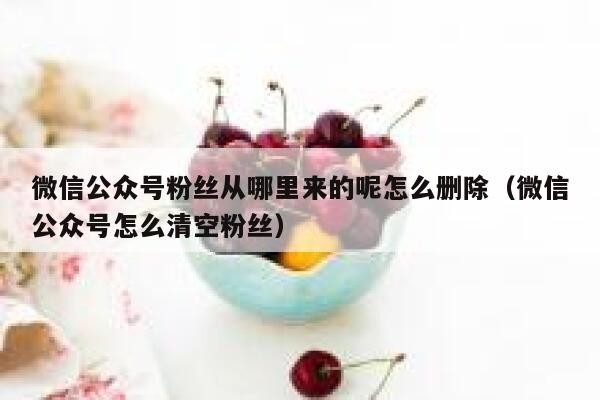 微信公众号粉丝从哪里来的呢怎么删除（微信公众号怎么清空粉丝） 第1张
