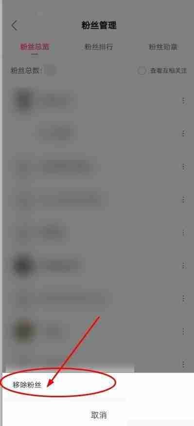 哔哩哔哩粉丝怎么移除 哔哩哔哩粉丝移除方法