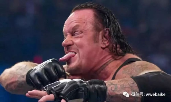 这些WWE选手和送葬者关系很差！Y2J上榜，CM朋克也在内