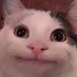 抠块脚皮给你吃