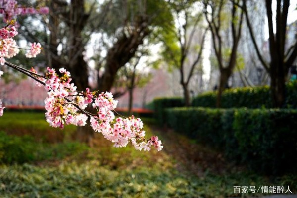 情侣吵架怎么化解?不学后悔莫及