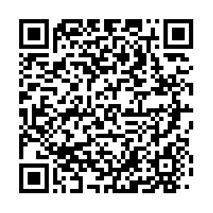 香港明星黄子扬歌友会