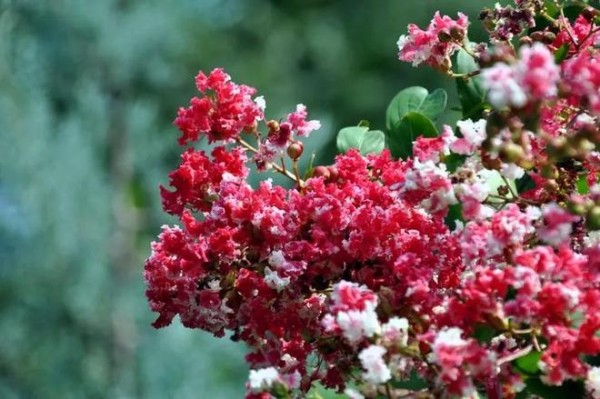 一顿饭婆婆训斥儿媳3次,小姑子怒言:这要是我婆婆,我早离婚了