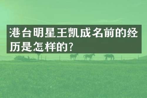 港台明星王凯成名前的经历是怎样的？