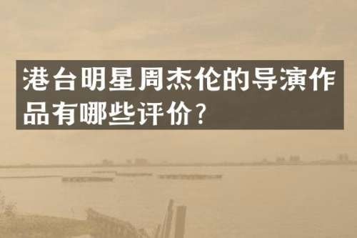 港台明星周杰伦的导演作品有哪些评价？