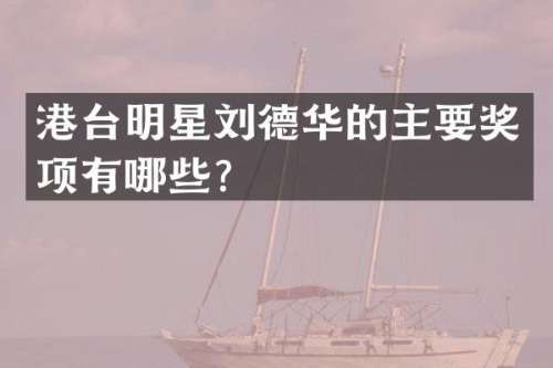 港台明星刘德华的主要奖项有哪些？