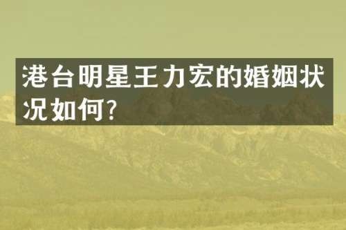 港台明星王力宏的婚姻状况如何？