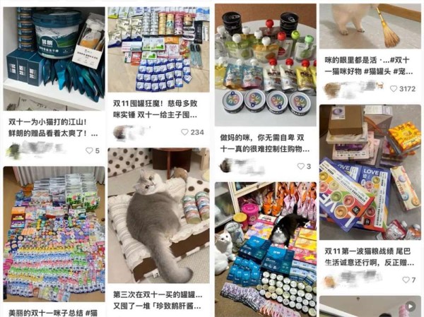 3000亿猫狗大市场,赵露思、陈冠希纷纷加入