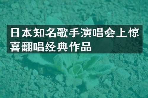 日本知名歌手<a target=