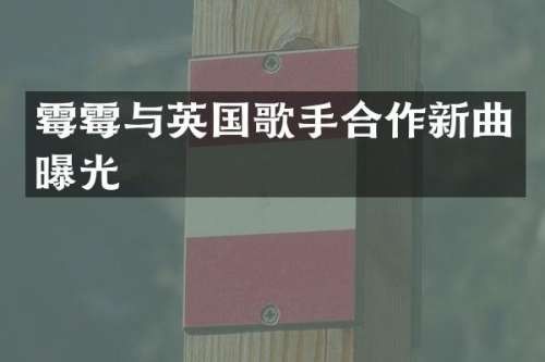 与英国歌手合作新曲曝光