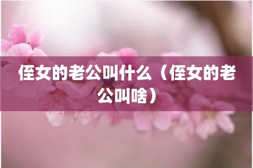 侄女的老公叫什么（侄女的老公叫啥）