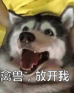 我和女同桌做过最过分的事