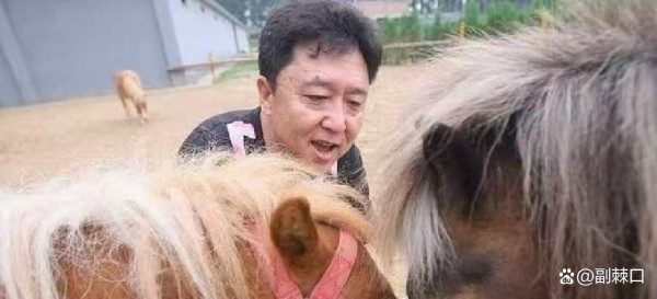 于谦陷债务风波明星股东为何难保稳赚？投资“认缴”背后藏深坑