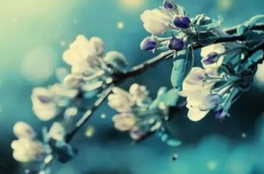 黎巴嫩纪伯伦的诗是什么？有什么含义?