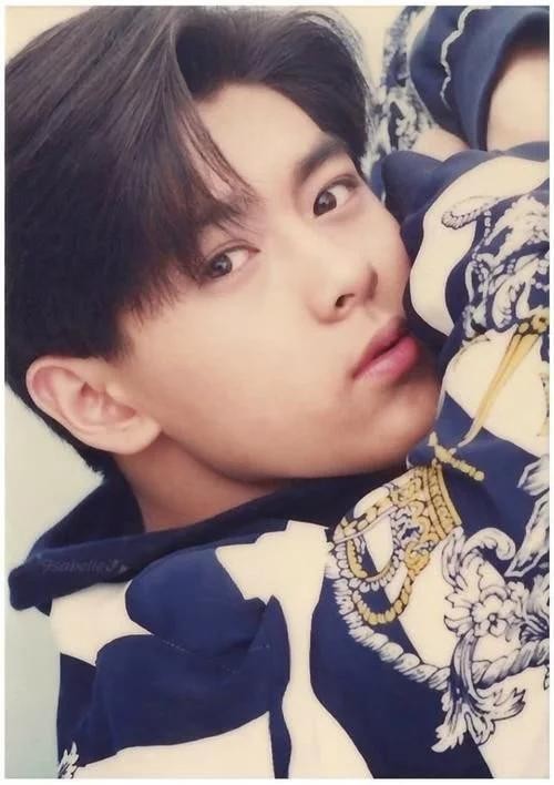 泰国王室这么有钱,林志颖却拒绝做泰国驸马,这是为什么?