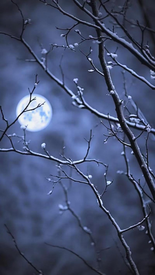 偶像剧中的真实情感纠葛与流量策略