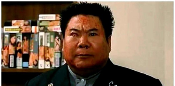 樊梅生与樊少皇：低调中的崛起与成功之路