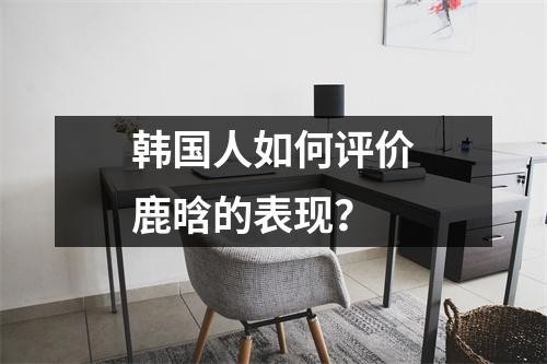 韩国人如何评价鹿晗的表现?