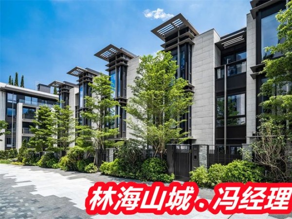 香港林海山城值得买吗,有明星入住吗,林海山城属于香港哪个区