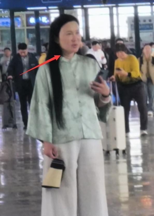 张纪中夫妇现身车站 杜星霖产后脸肿 夫妻间的小摩擦引发热议