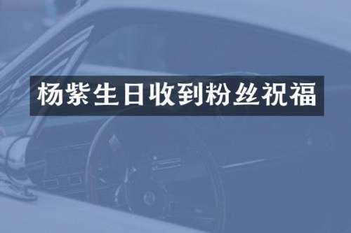 杨紫生日收到粉丝祝福