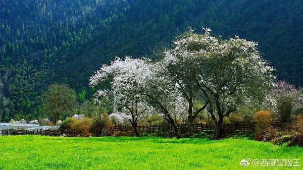 为什么忘不了你?——王相军?