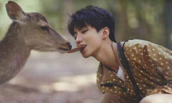 蒋依依和王俊凯的关系有多好?看了之间的小昵称,也太甜了吧