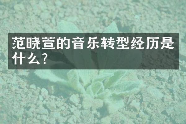 范晓萱的音乐转型经历是什么?